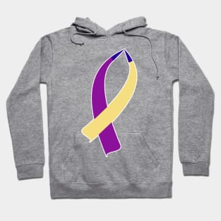 Awareness Ribbon (Bladder Cancer) Hoodie